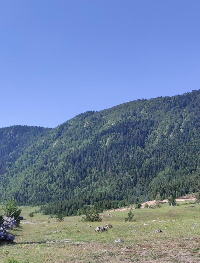Mountain Peace Cottage Жабляк Экстерьер фото