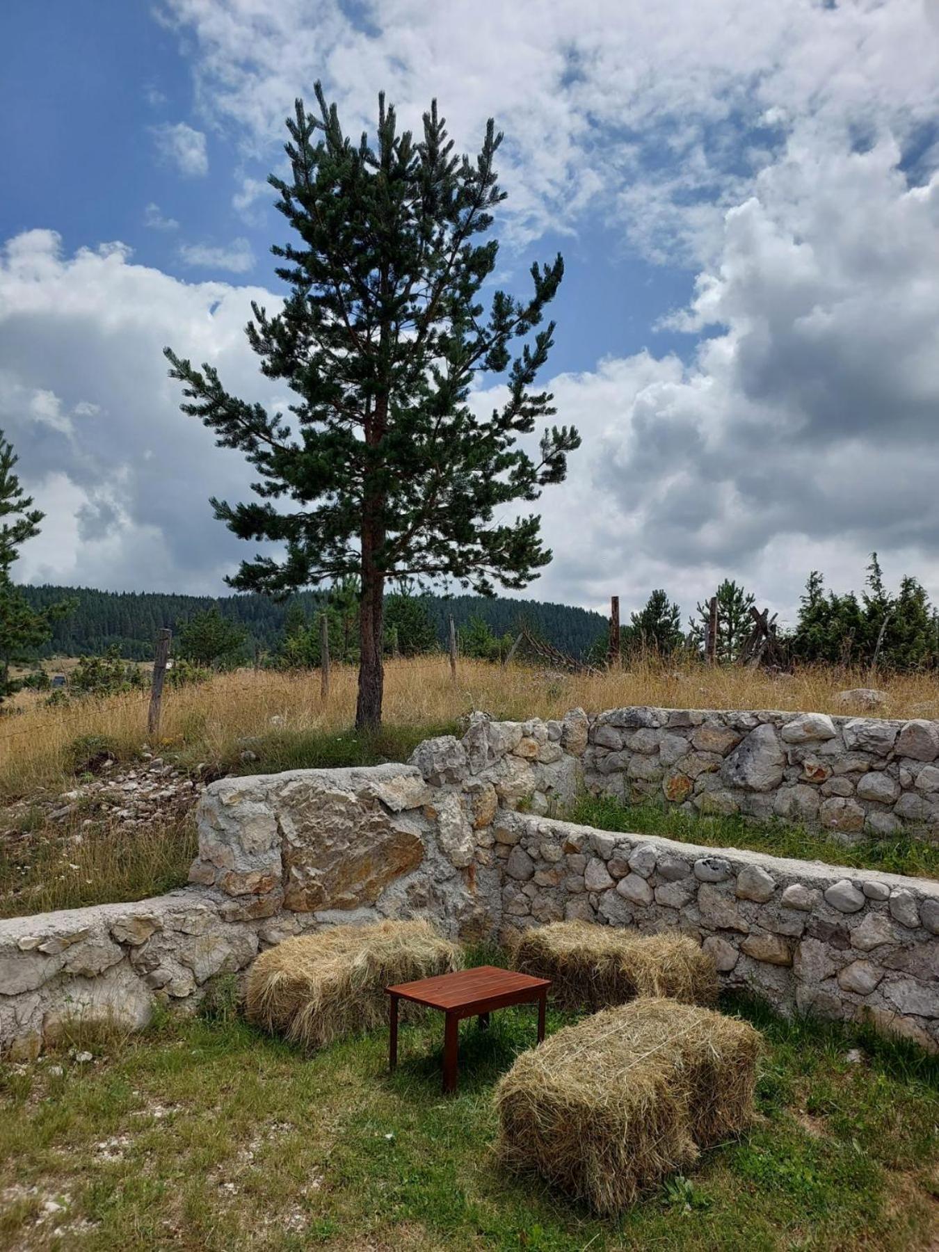 Mountain Peace Cottage Жабляк Экстерьер фото